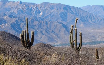 Cordillère des Andes, Argentine, Chili, Bolivie