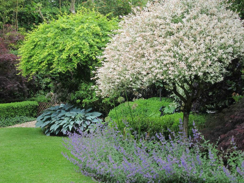 Jardin sans effort