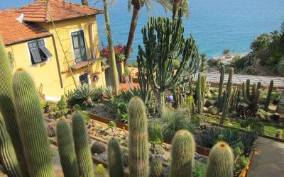 Jardin exotique de Pallanca