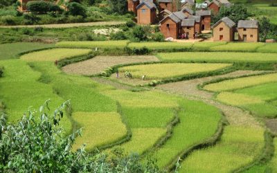 Madagascar au fil de la Route Nationale 7