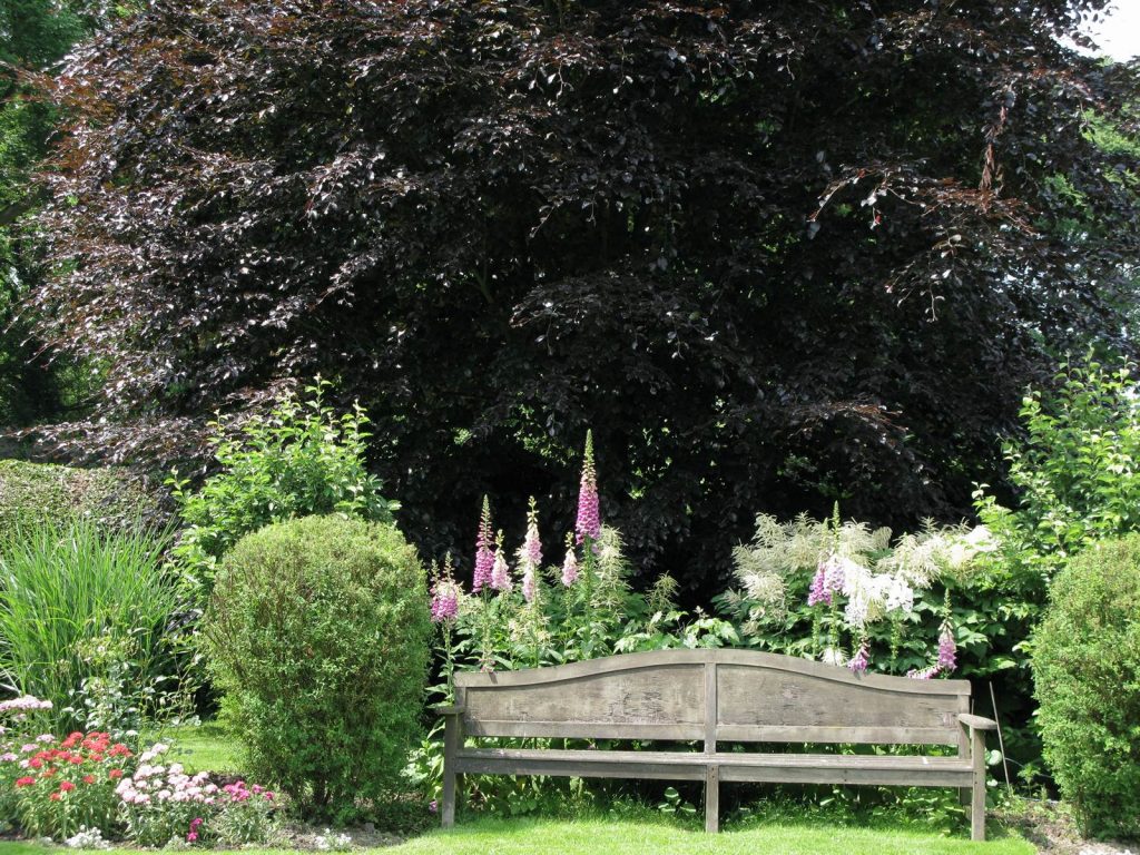 Cahier de Jardin Odette Rolin