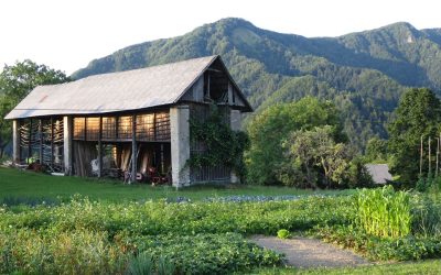 La Slovénie en mode green