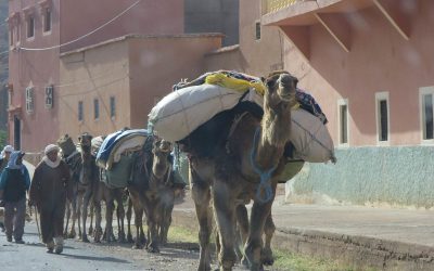 Maroc, les Montagnes de l&rsquo;Atlas