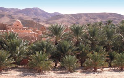 Le grand Sud tunisien