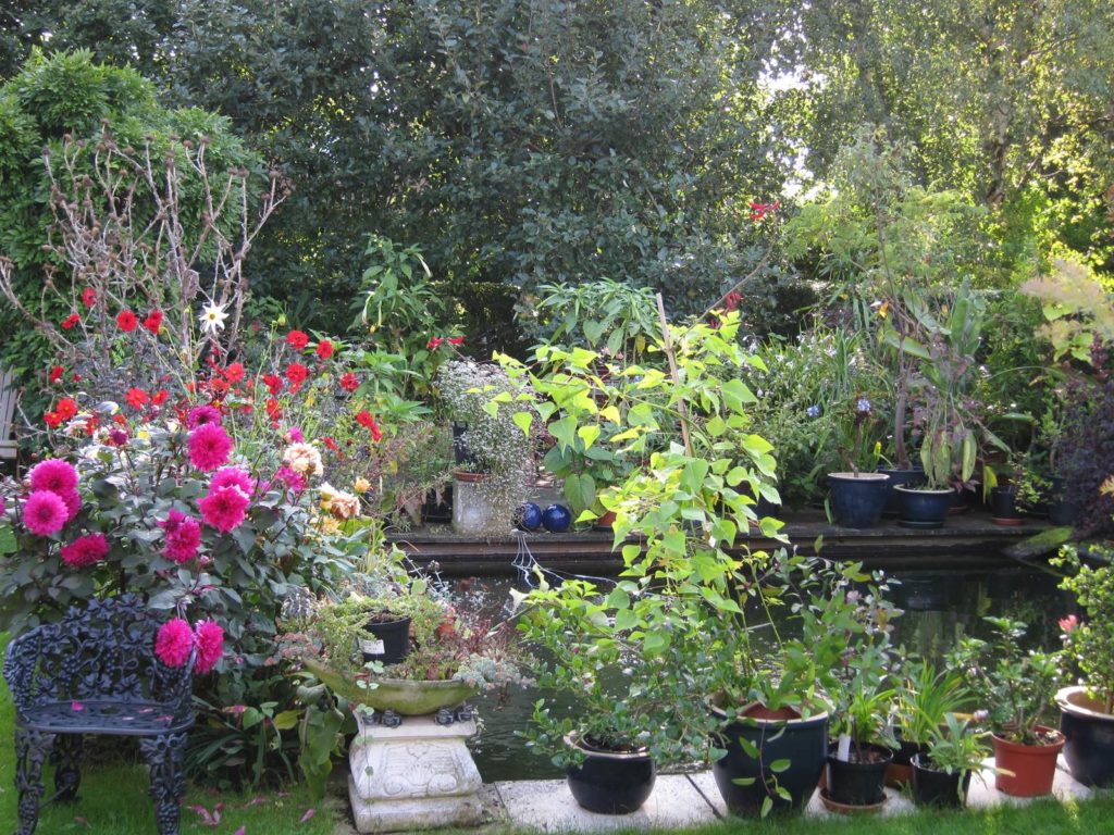 jardin de Danielle