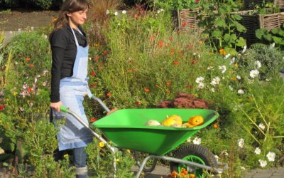 Un jardin thérapeutique dans l’hôpital