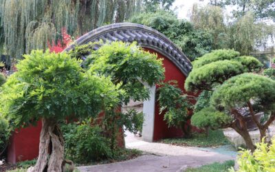 Le jardin chinois de Pairi Daiza