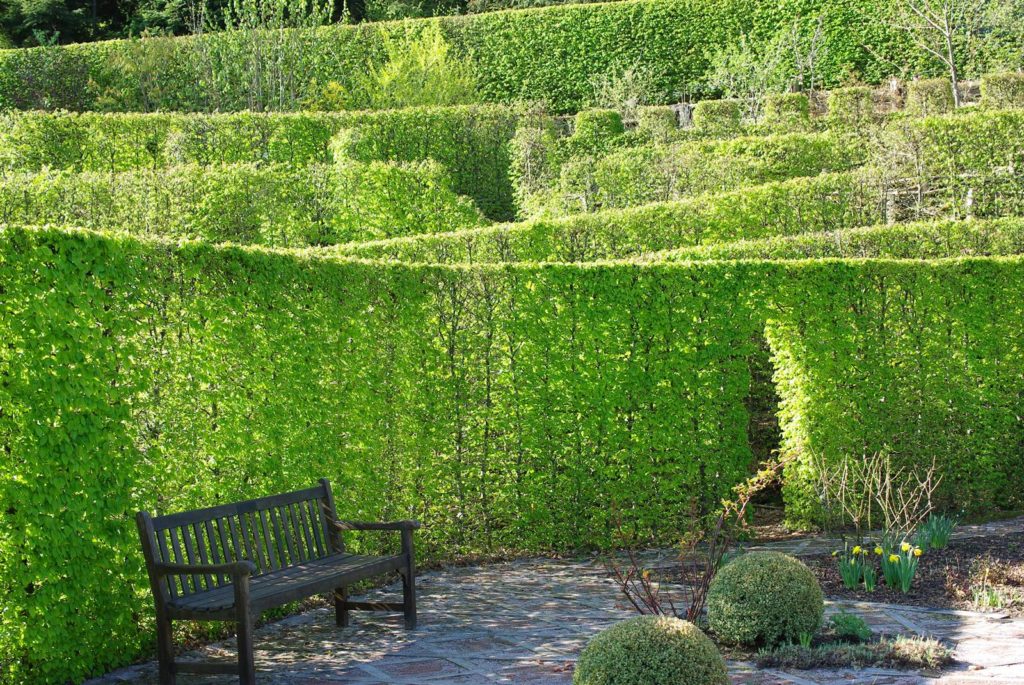 Jardin de Berchigranges