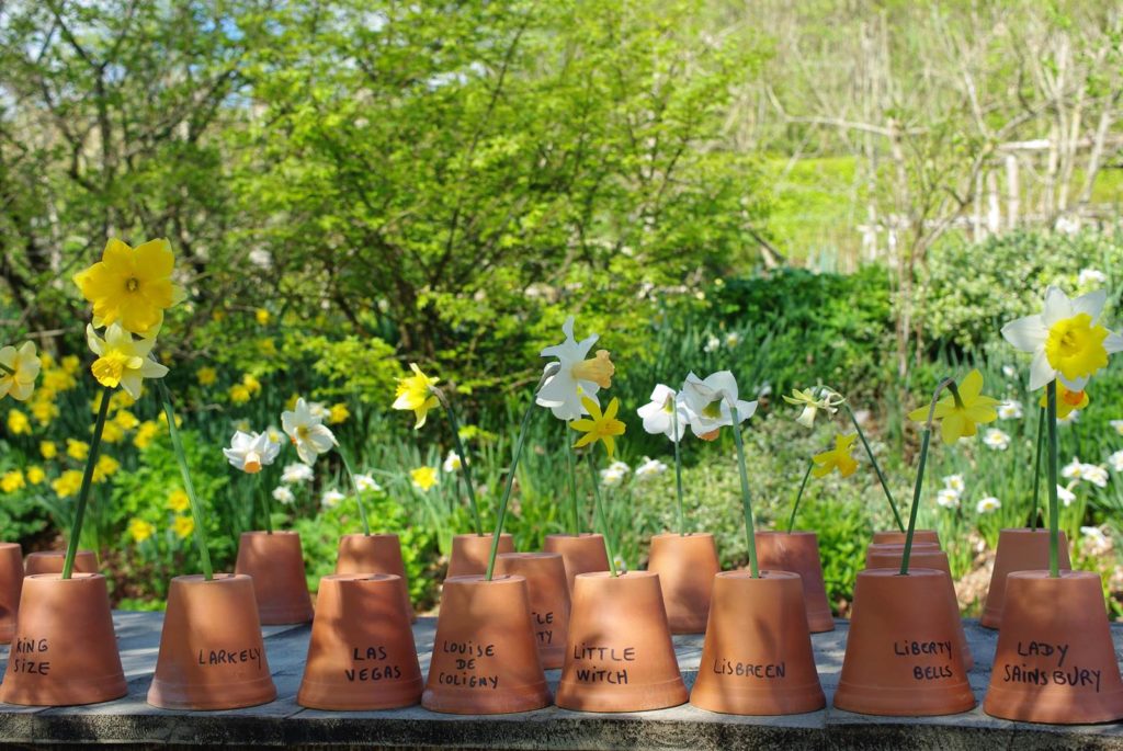 Jardin de Berchigranges