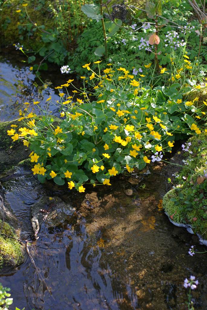 Jardin de Berchigranges Jardin de Berchigranges