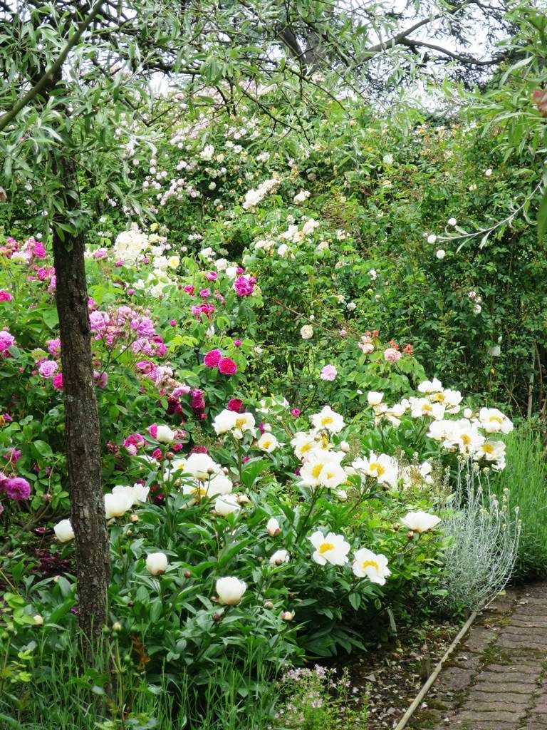 Jardin de collectionneur