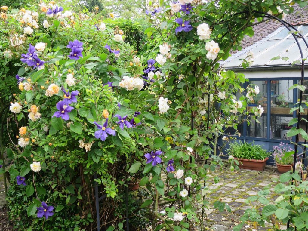 Jardin de collectionneur