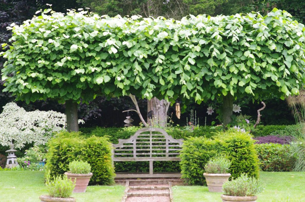 Jardin de collectionneur