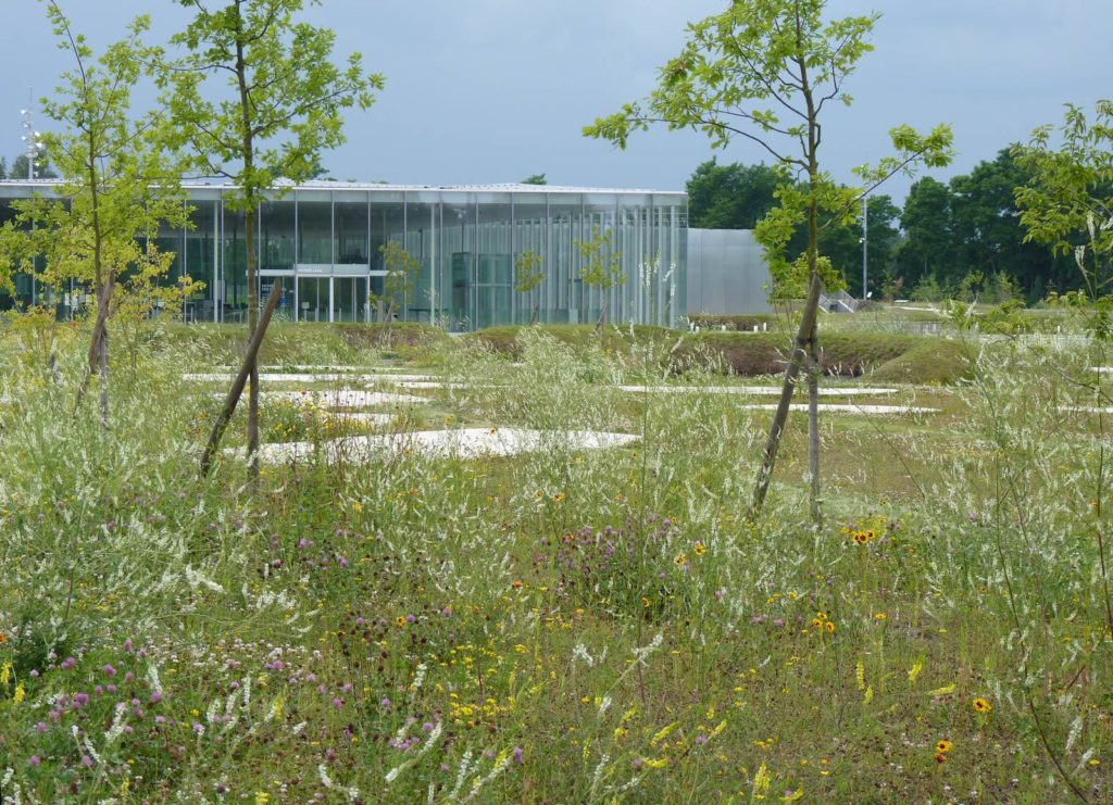 parc du Louvre-Lens