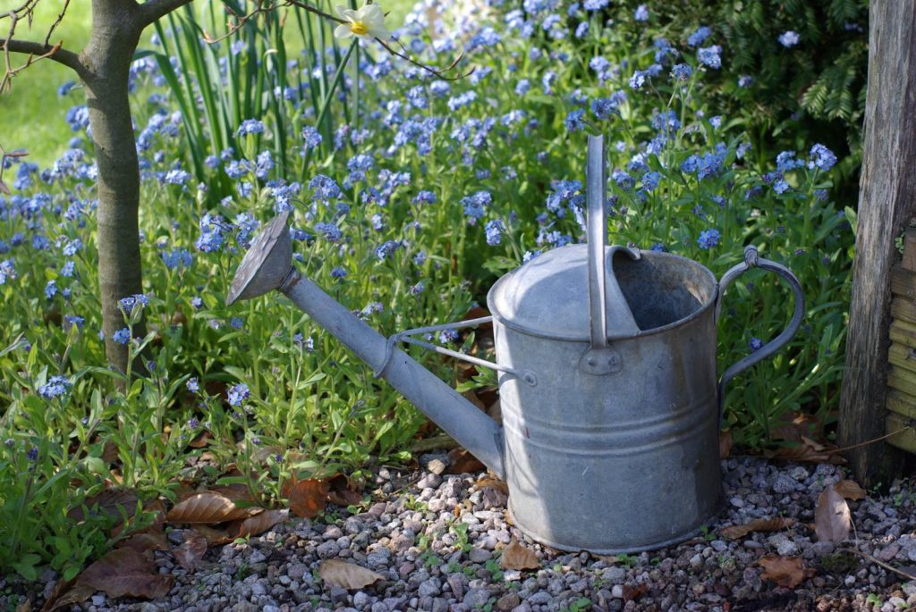 Arroser sans gaspiller