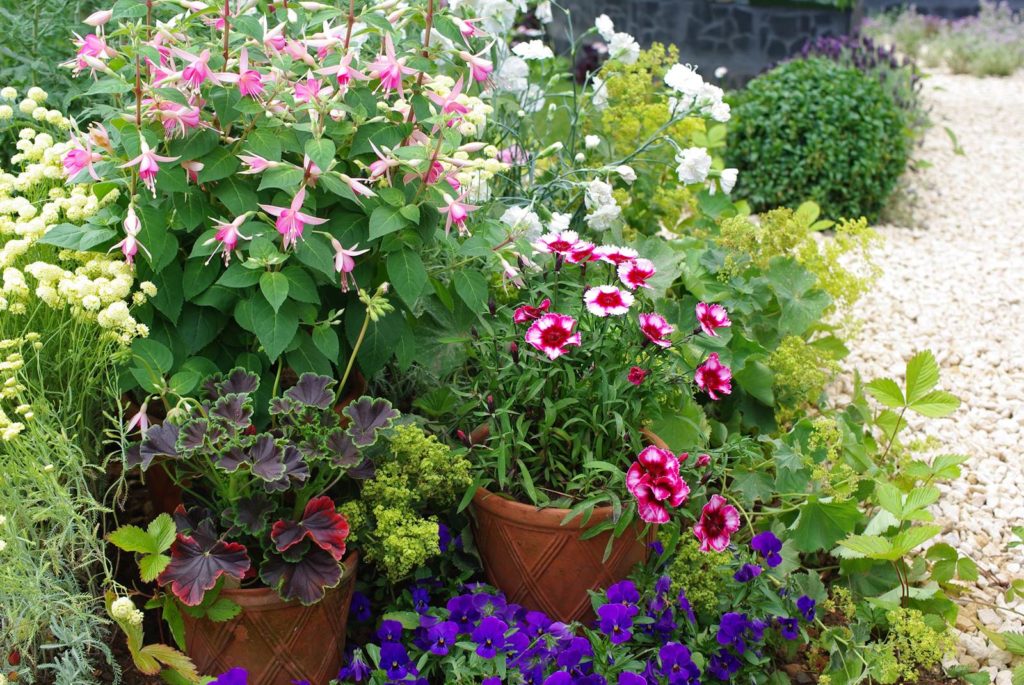 Arroser sans gaspiller