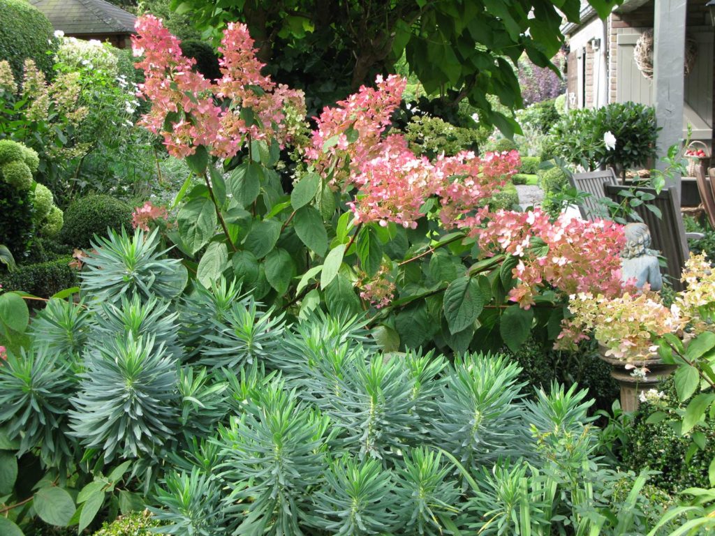 Jardin de Marie-Françoise