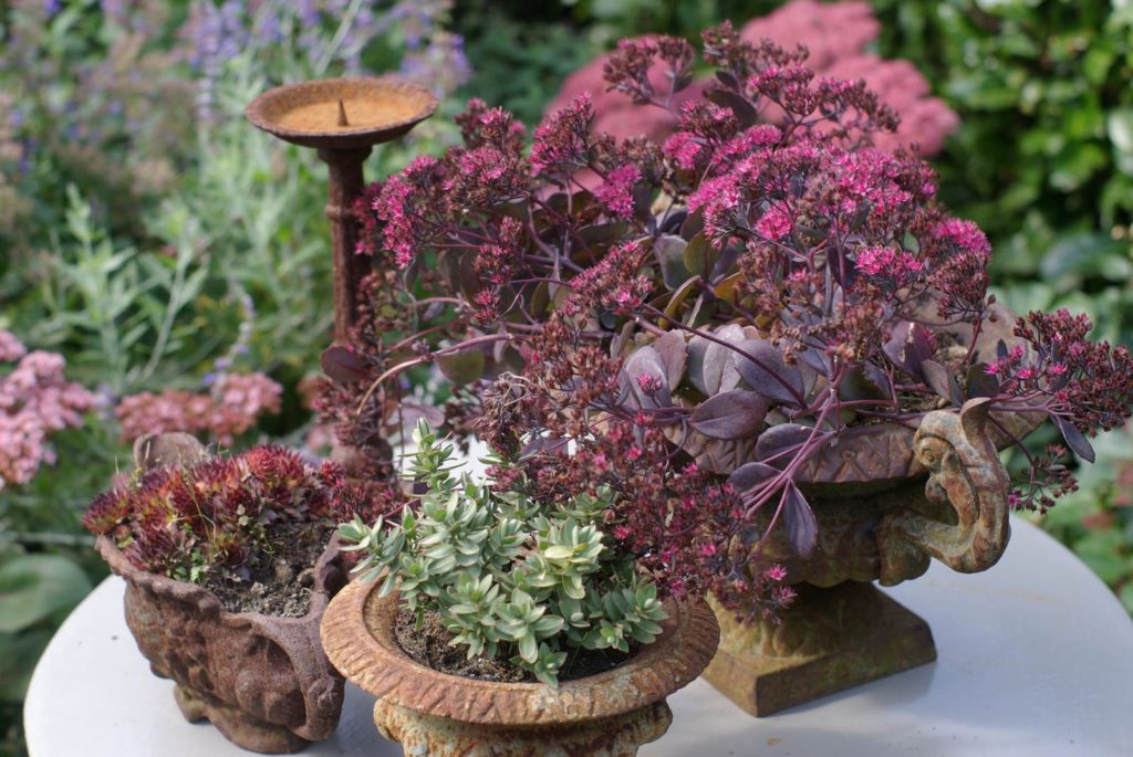 Jardin de Marie-Françoise