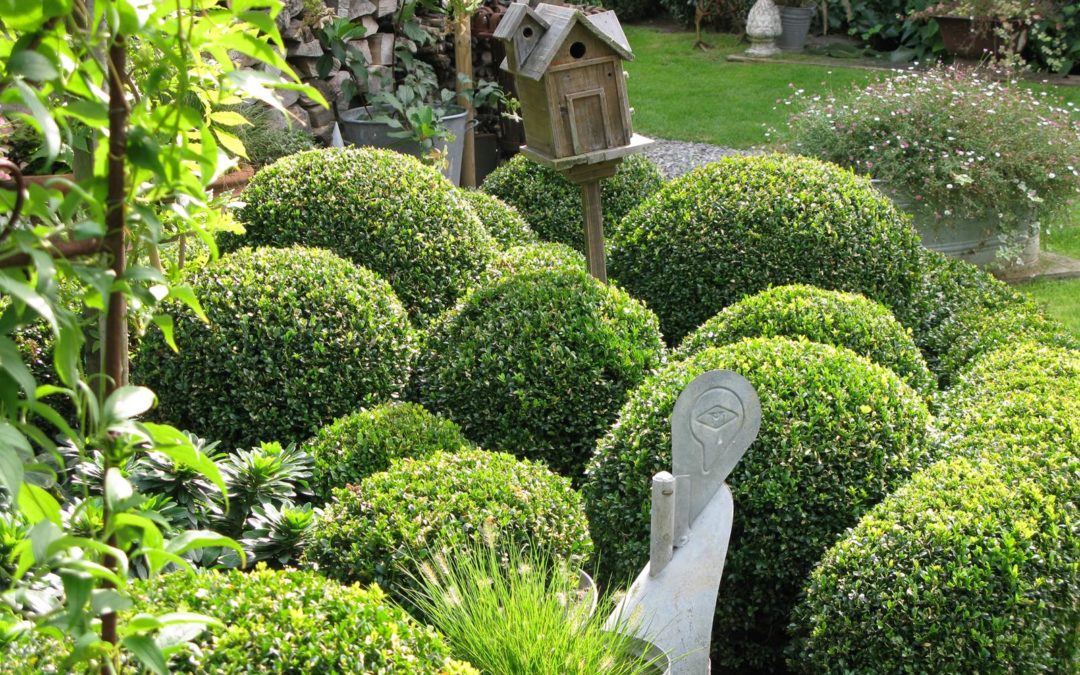 Jardein de Marie-Françoise