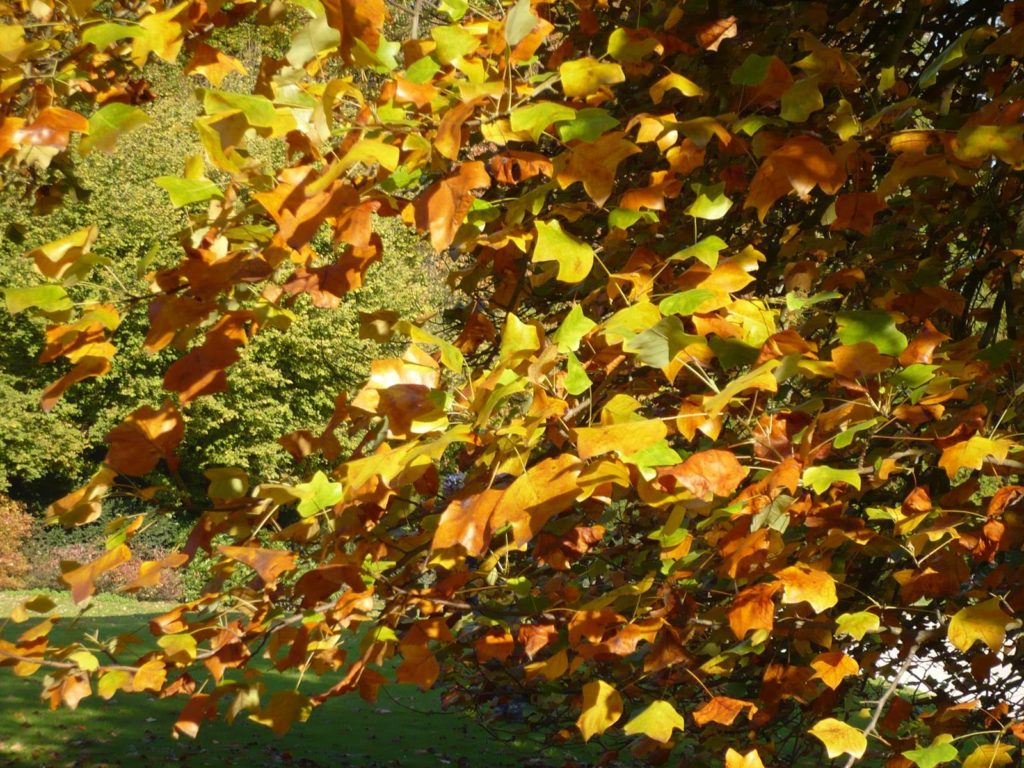 Château de La Hulpe