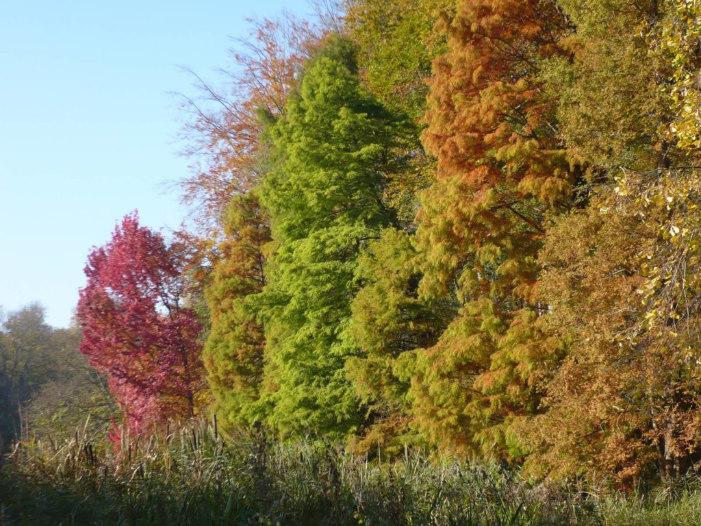 Château de La Hulpe