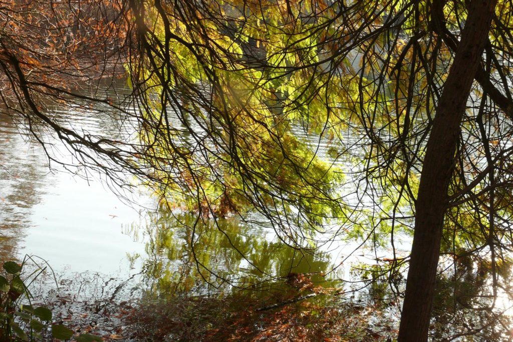 Château de La Hulpe