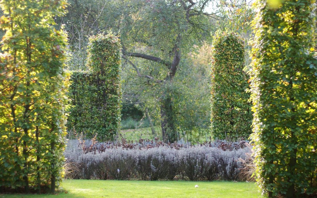 Jardin d'Agnès et Paul