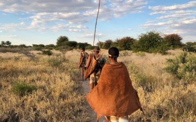 Les voyages en Afrique Australe de Poesy by Sophie