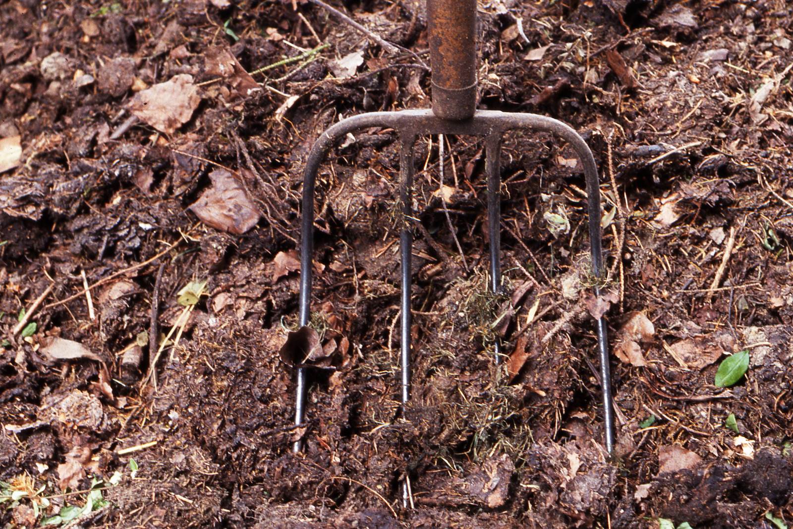 Almanach de février