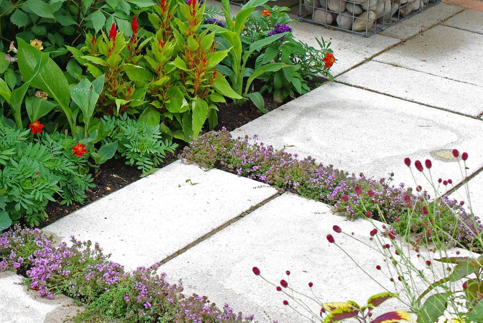 Almanach de Février