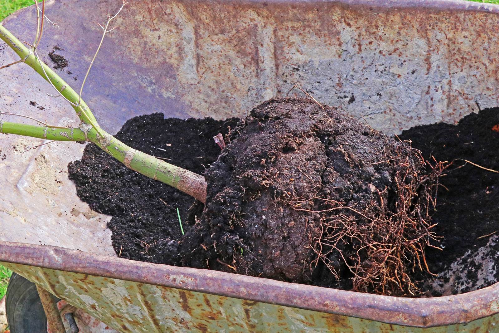 Almanach de février