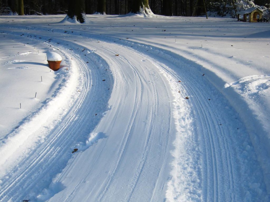 Almanach du jardinier janvier