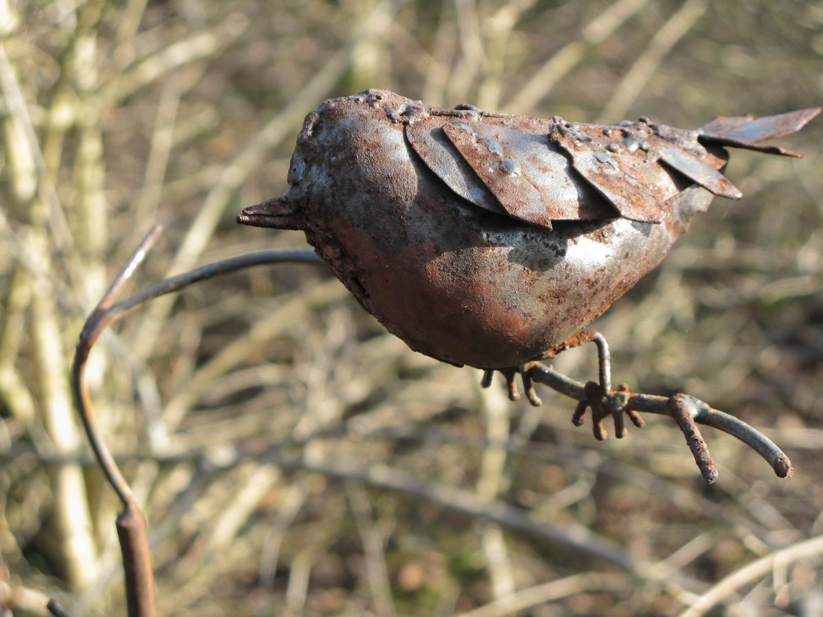 Almanach du jardinier janvier