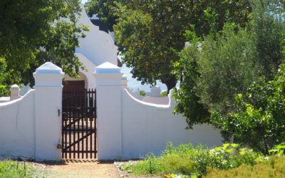 Winelands, les vignobles du Cap