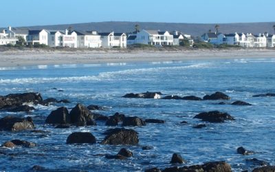 West Coast et Cederberg, au nord du Cap