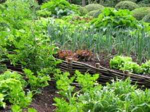 Avril almanach du jardinier