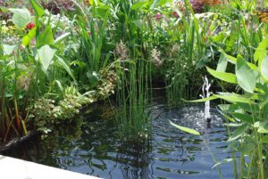 Avril almanach du jardinier