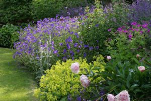 Avril almanach du jardinier