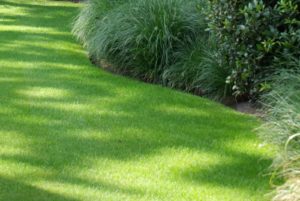 Avril almanach du jardinier