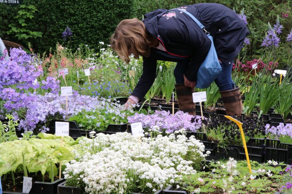 Fête des plantes à Celles