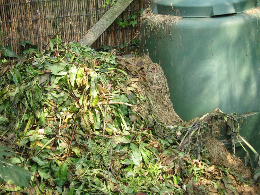 Jardin nature de Philippe Delwiche