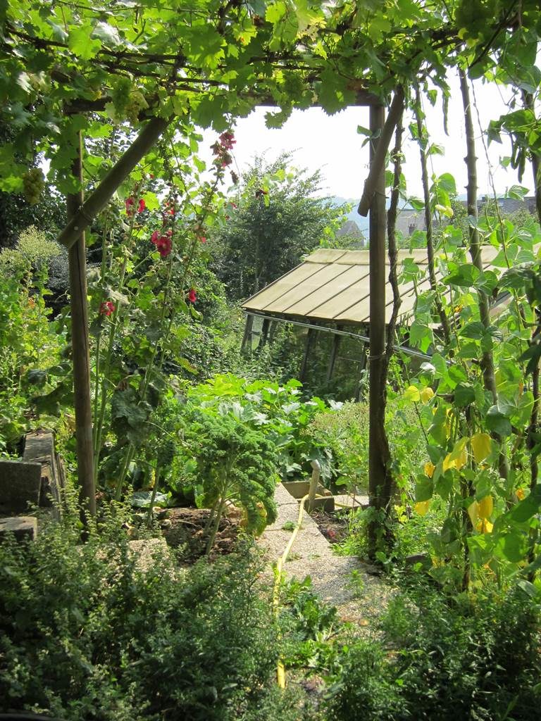 Jardin nature de Philippe Delwiche