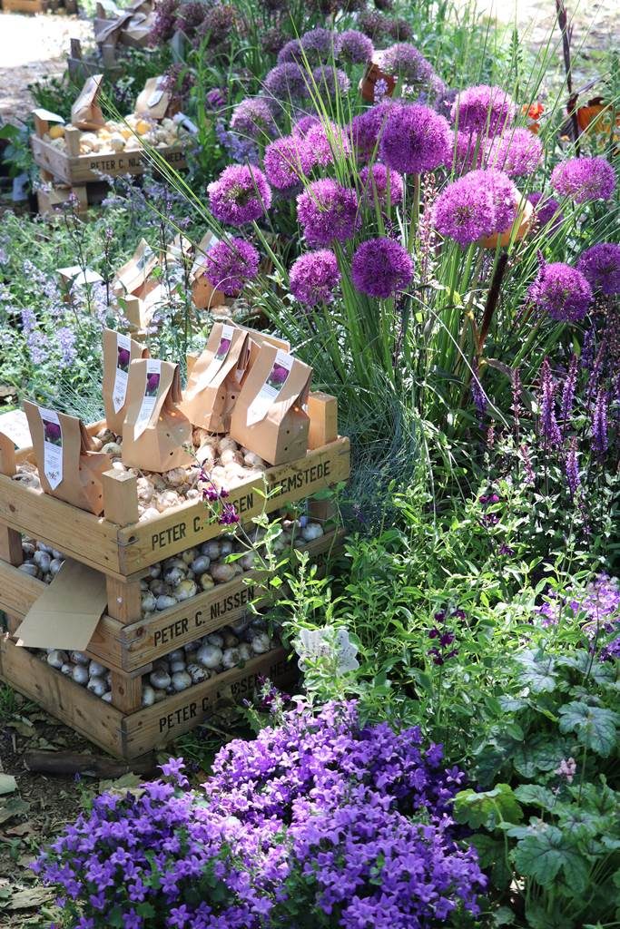 Festival des plantes de Hex