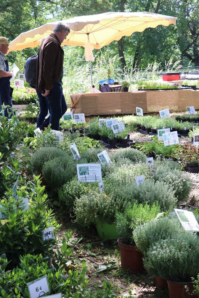 Festival des plantes de Hex