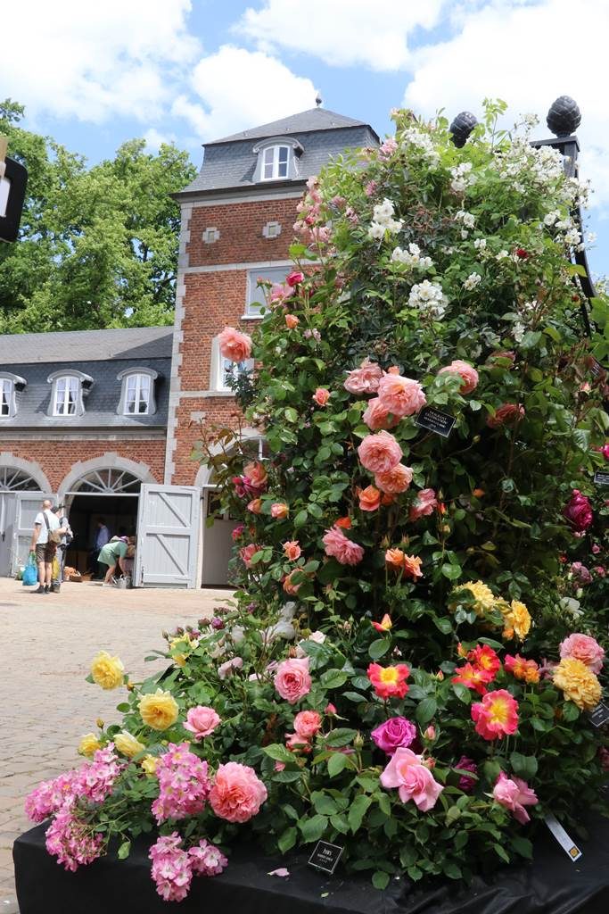 Festival des plantes de Hex