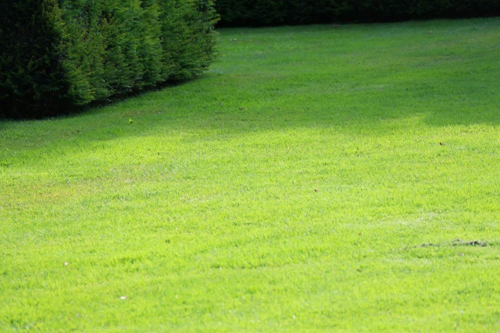 Juin Almanach du Jardinier