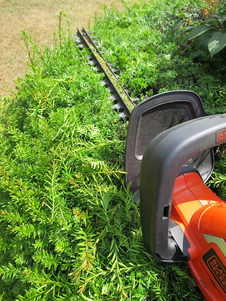 Juin Almanach du jardinier