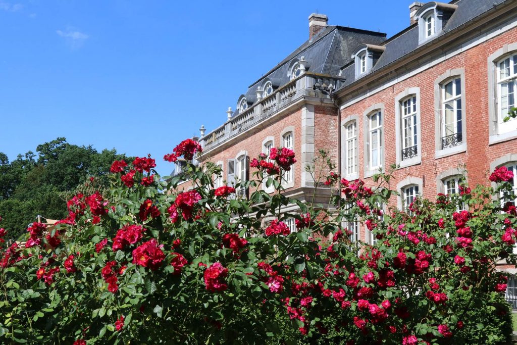 Les roses du château de Hex