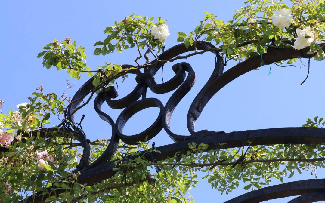 Les roses du château de Hex