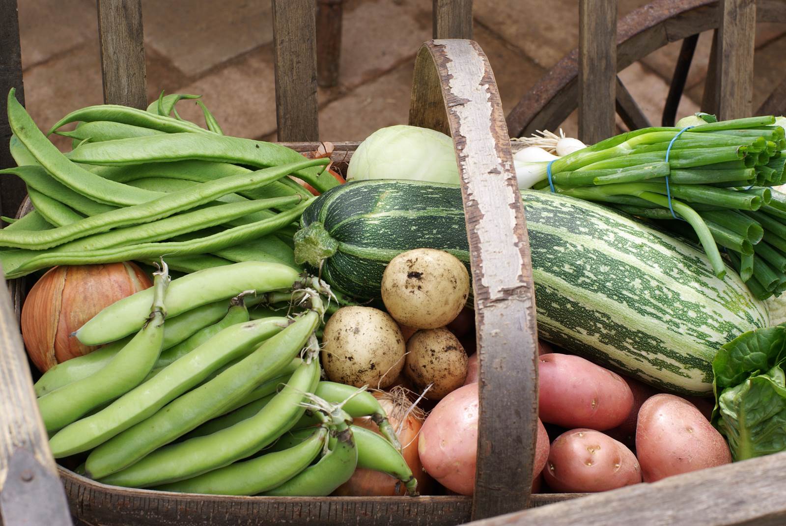 Juillet almanach du jardinier
